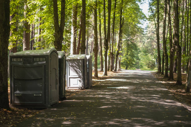 Best Event porta potty rental  in Acres Green, CO